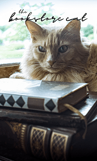 Words And Pages- Bookstore Cat